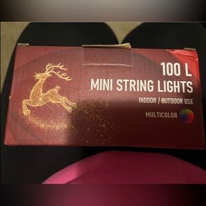 Christmas Lights